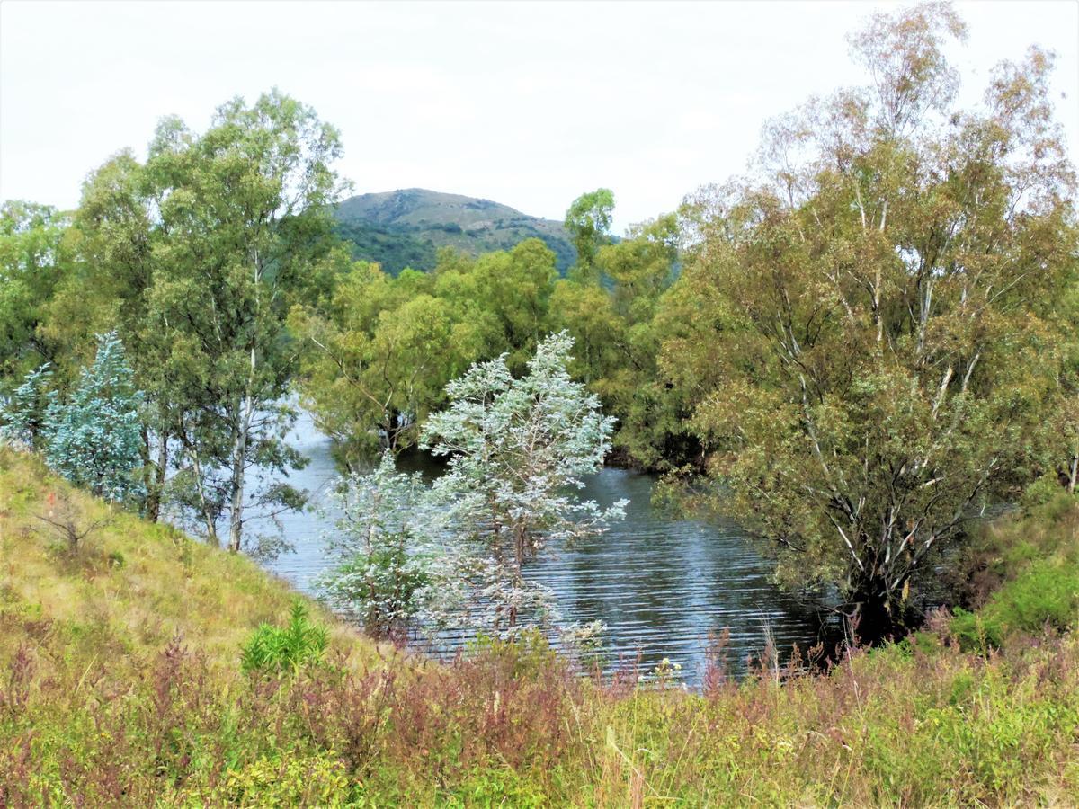 Peperina Lago Los Molinos Villa Ciudad de America Bagian luar foto